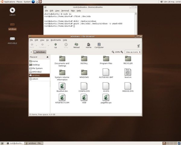 Ce que notre partition Windows contient