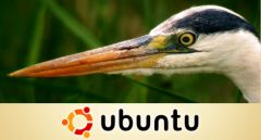 Ubuntu Hardy Heron 8.04