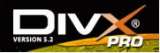 DivX 5.2.1