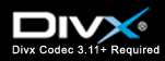 DivX 3.11 Alpha