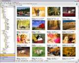 StudioLine Photo Basic 3.70